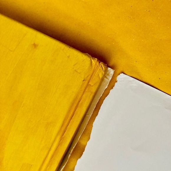 T.L.C. - Picture 11 of 11